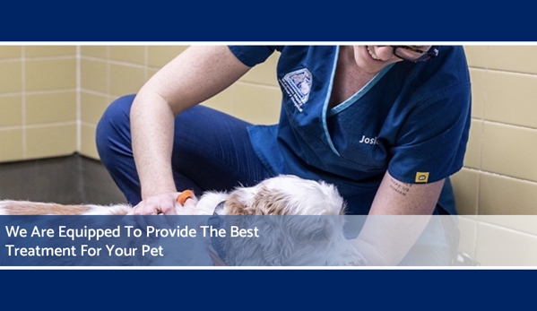 Wynnum Manly Vet Hospital - Wynnum, QLD. We Are Equipped To Provide The Best Treatment For Your Pet