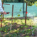 Bayonne Pest Control - Pest Control Equipment & Supplies