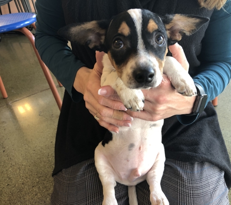 PetSmart - Spokane, WA