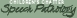 Children's Chatter Speech Pathology - Speech Pathologists