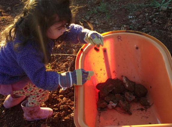Elwood Early Learning Center Shinetime - Elwood, VIC. rock and sand dinosours Discovery