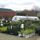 Dayton Nursery