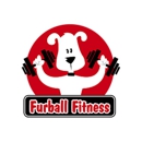 Furball Fitness Pet Daycare Resort & Spa - Health Clubs