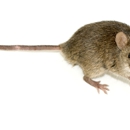 Louisville Certified Pest Control - Pest Control Services-Commercial & Industrial
