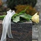 Affordable Cremation Association