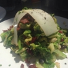 Cowfish gallery