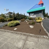 Kenmore Carwash gallery