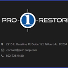 Pro 1 Restore