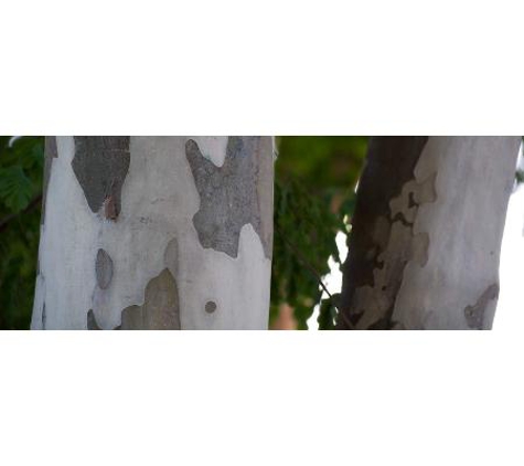 Maryborough Child Care Centre - Maryborough, QLD