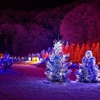 Woody's Fireworks gallery