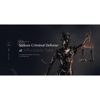 Criminal Lawyer Tony M. Seyfi Los Angeles gallery