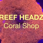 Reef Headz