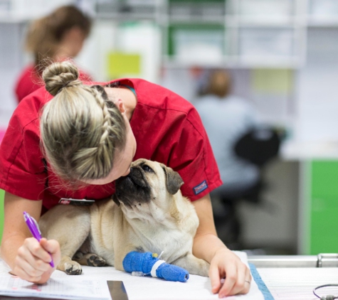 Brisbane Veterinary Emergency and Critical Care Service - Albany Creek, QLD. Dedicated, compassionate staff