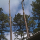 Chris's Tree Service - Arborists