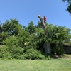 Kevin's Tree Service gallery