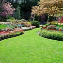 A-Z Landscaping Inc. - Lawn Maintenance