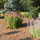 Taylor's Landscaping & Maintenance - Landscape Contractors