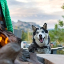 Holiday Inn Estes Park by IHG - Hotels