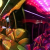 Los Angeles Party Bus gallery