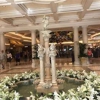 Bellagio Conservatory & Botanical Gardens gallery