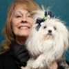 Pamela Faver Agency gallery