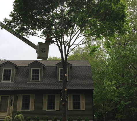 Eastern Tree Experts LLC - Guilford, CT