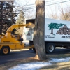 A Cut Above Tree & Stump Removal, Inc.