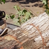 M&C Lawn and Tree Service gallery