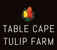 Table Cape Tulip Farm Logo