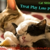 Treat Play Love Pet Care gallery