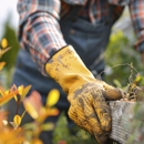 KD Tree service Rockville - Tree Service