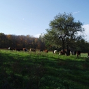 Steady Lane Farm - Farms