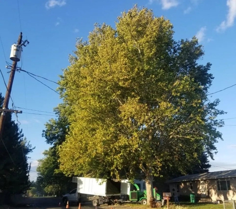 Supreme Tree Service - Pasco, WA