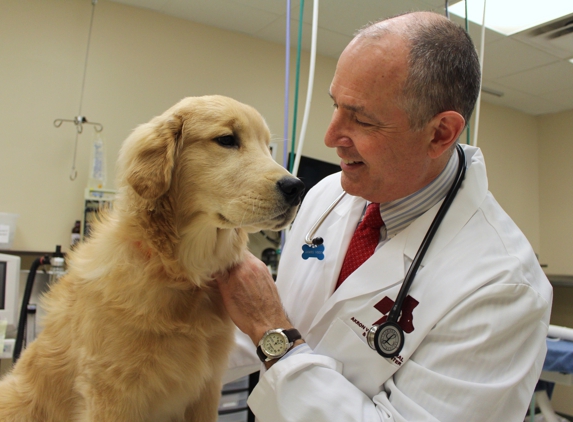 Akron Veterinary Referral & Emergency Center - Copley, OH