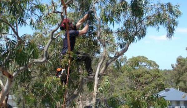 Arboressence - Wangaratta, VIC