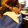 Feature Cut Barber Stylists gallery