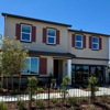 Sunrise at Homestead by Richmond American Homes gallery