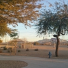 Goodyear Dog Park gallery