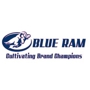 Blue Ram Inc