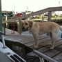 Miss Hatteras Party Boat