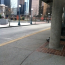 Bellevue Transit Center - Transit Lines