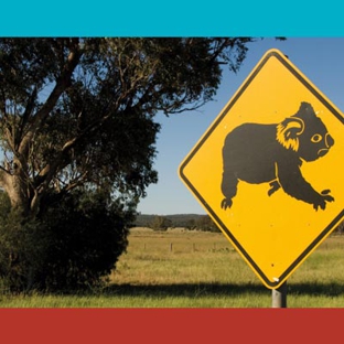 Gunnedah Shire Council - Gunnedah, NSW. Gunnedah: Koala Capital of the World