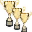 Blizzard Trophies Inc - Fabric Shops