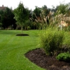 M &T Lawn Care gallery