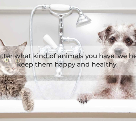 Avonsleigh Veterinary Clinic - Avonsleigh, VIC. No matter what kind of animals you have, we help you keep them happy and healthy.