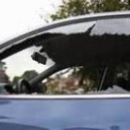 Best Car Glass - Glass-Auto, Plate, Window, Etc