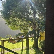 Gallery Image Number 1