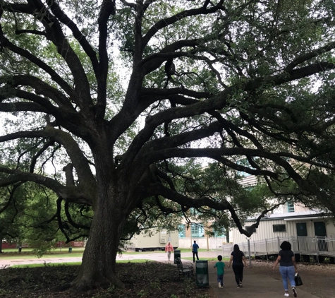 Mirabeau B Lamar High School - Houston, TX