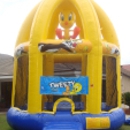 Jump & Shout Inflatables - Inflatable Party Rentals