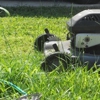 Manny's Lawn Mowing Services, LLC gallery